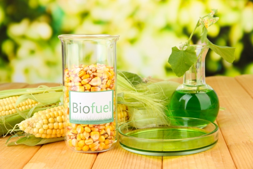 Conceptual photo of bio fuel