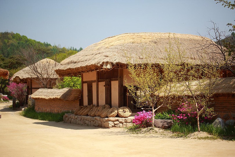 Thatched Roof
