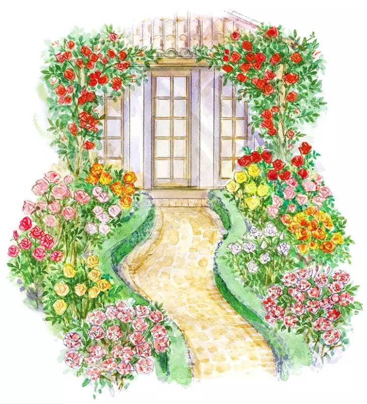 DIY front-yard rose garden