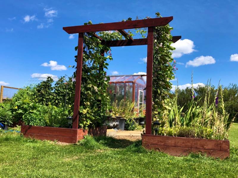 DIY garden arbor