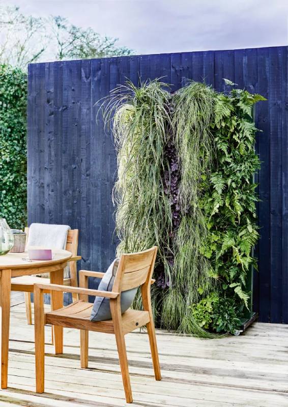 DIY living wall