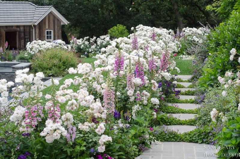 DIY romantic english garden