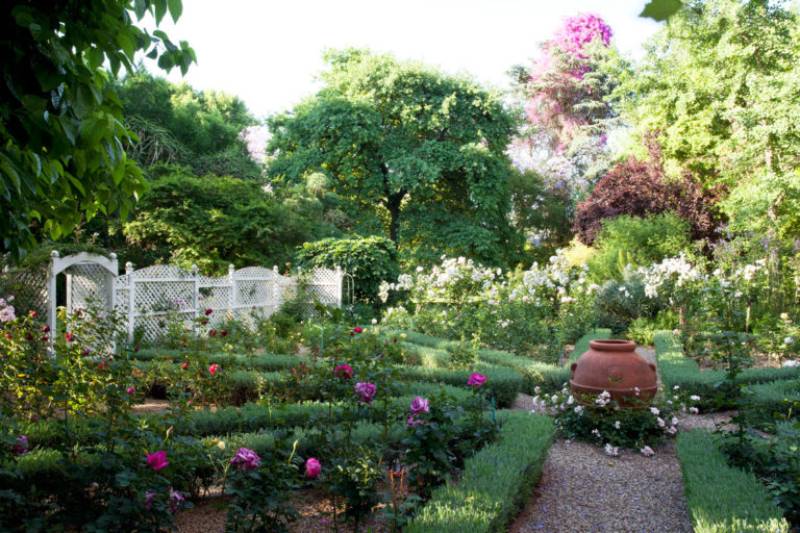DIY rose garden
