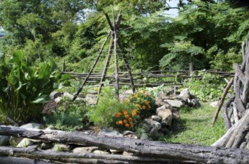 DIY teepee garden trellis