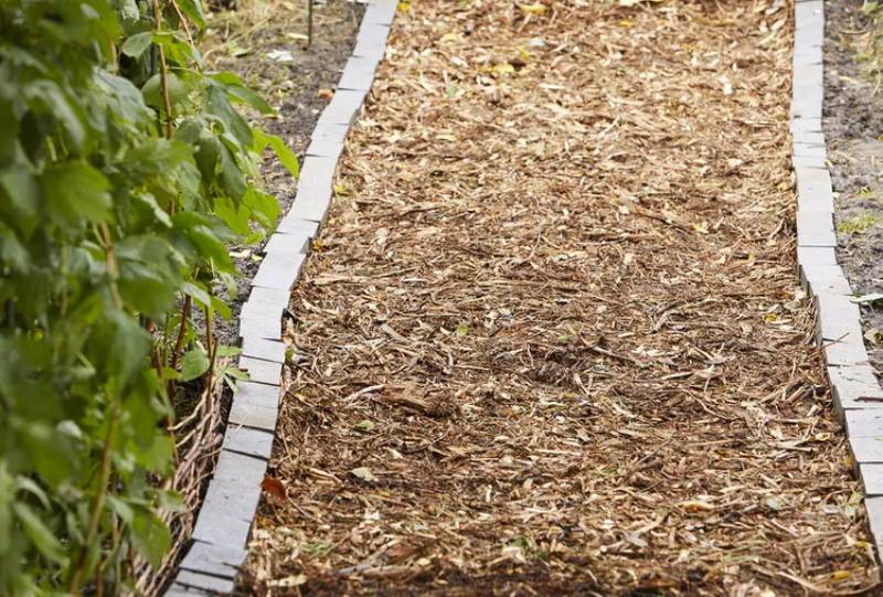 DIY wood chip path