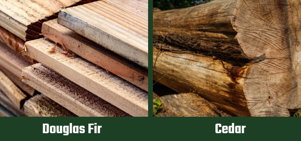Douglas Fir vs Cedar
