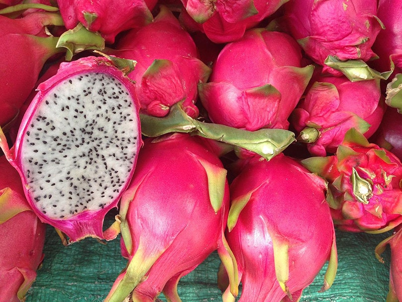 Dragon Fruits