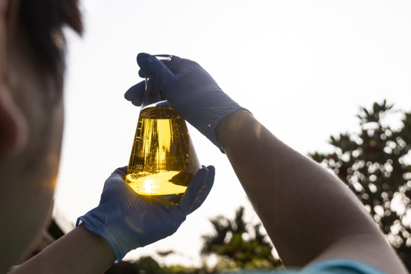 Ethanol biofuel derived from corn