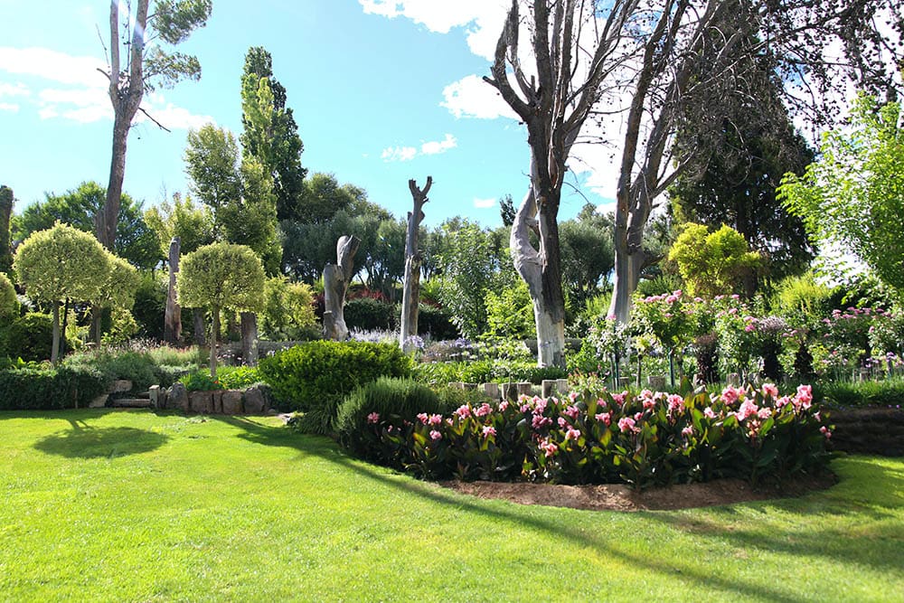 Garden decoration_Glen Carrie_Unsplash