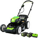 Greenworks Pro