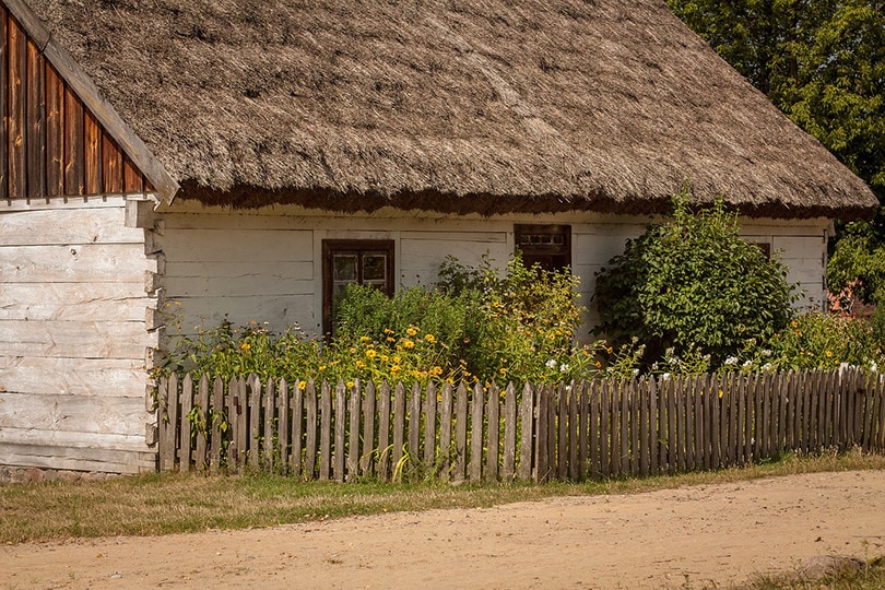 Thatched Roof