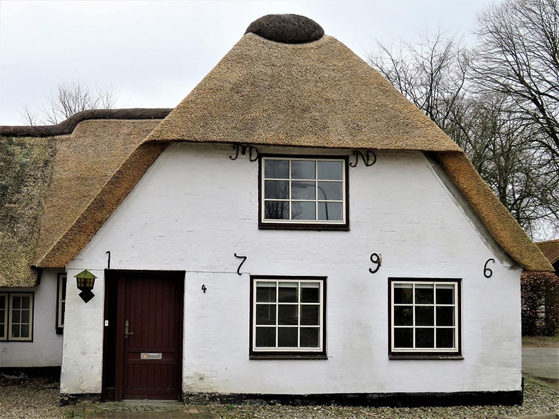 Thatched Roof