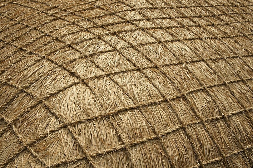 Thatched Roof