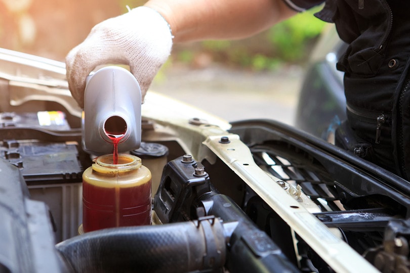 Transmission Fluid