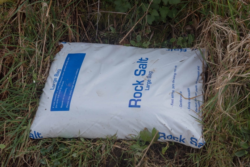 bag of rocksalt