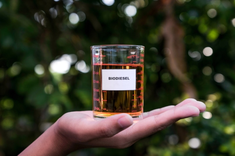 biodiesel in glass