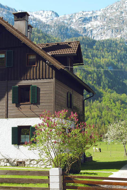 chocolate-colored house with brown roof