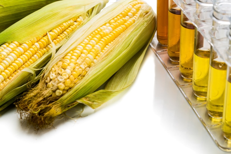 corn generated ethanol biofuel