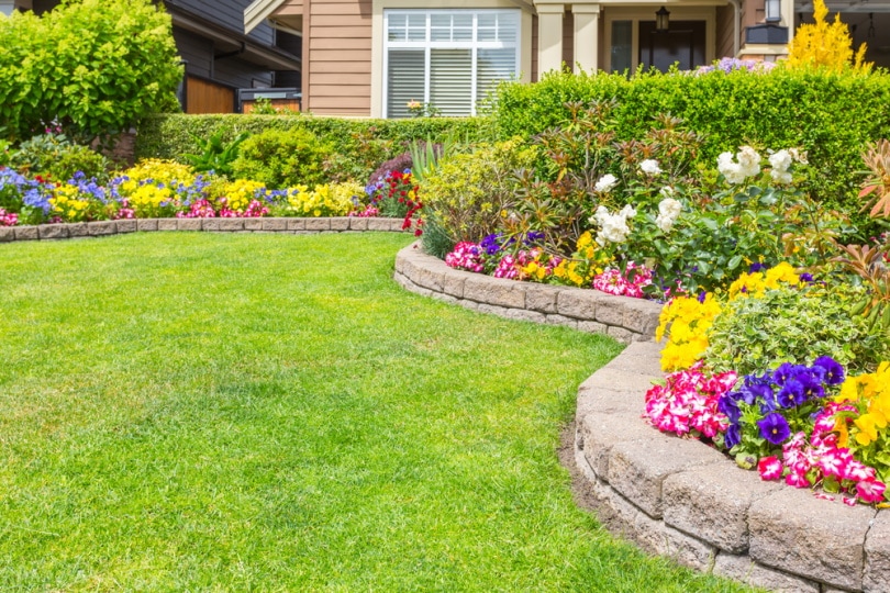 garden with landscape edging