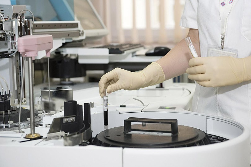 healthcare worker in a hospital lab