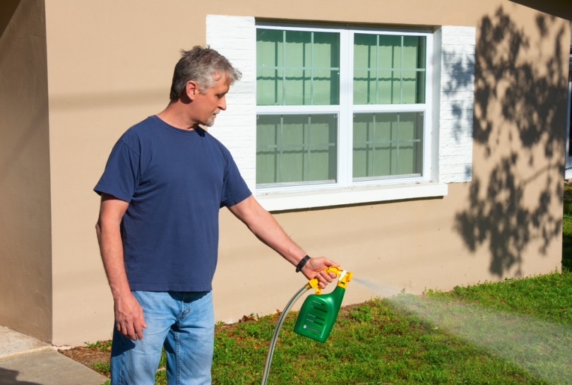 man spraying weed killer