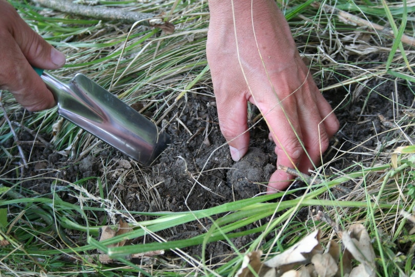 man using shovel