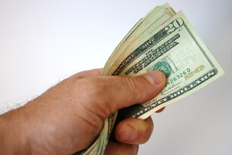 man's hand holding money