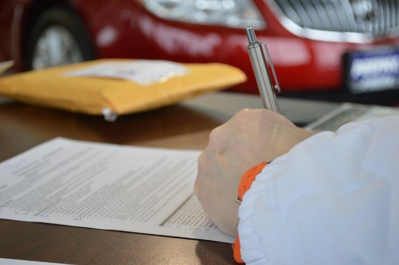 person filling out a form