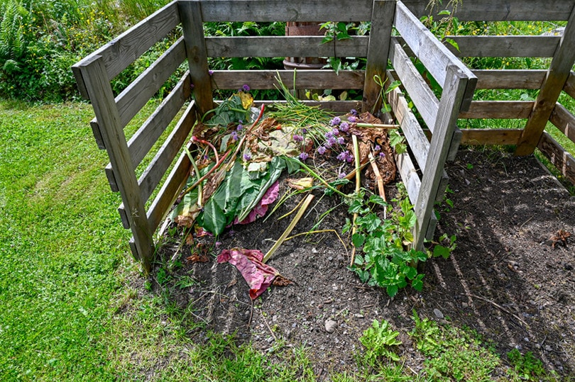 rhubarb leaves composting