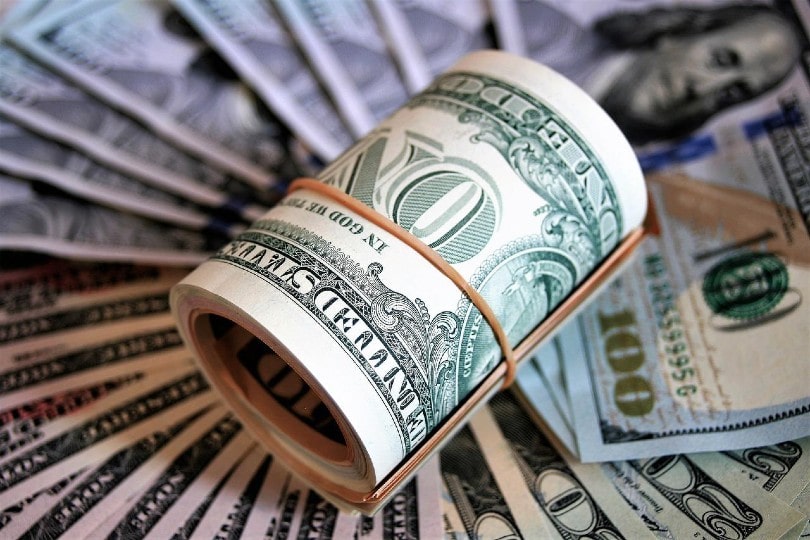rolled money