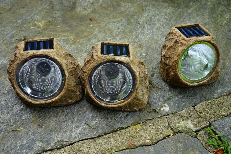 solar lamp
