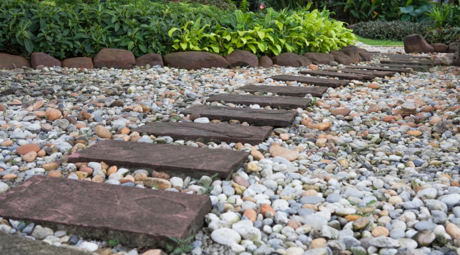 stone walkway in the garden