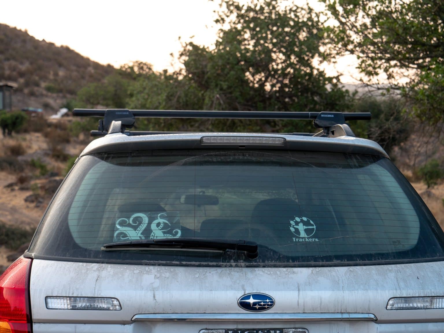 10 Best Roof Racks in 2026: Reviews & Top Picks | Home Grail
