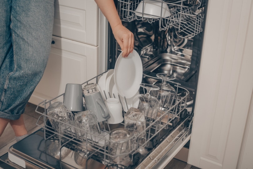 woman using dishwasher