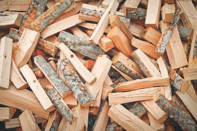 Aspen Log
