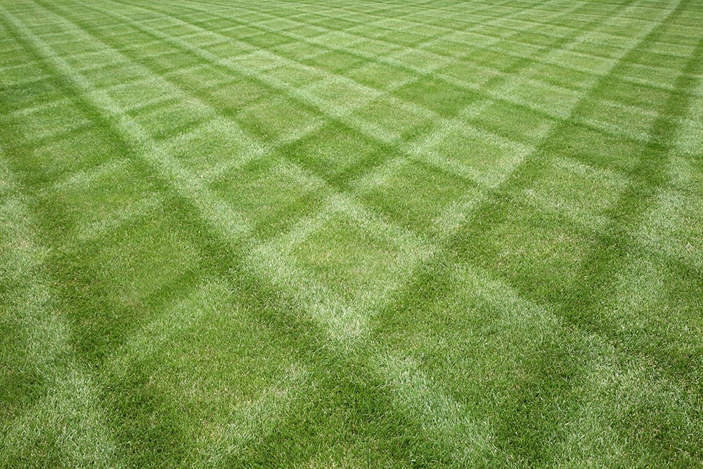 Diamond Pattern Lawn_James R Martin_Shutterstock