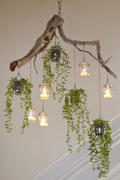 How to make a cascading indoor plant chandelier