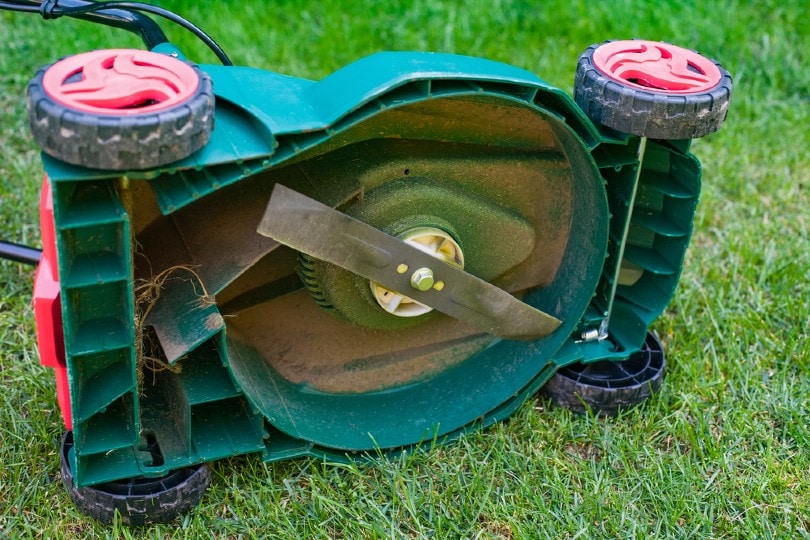 Lawn Mower Blade