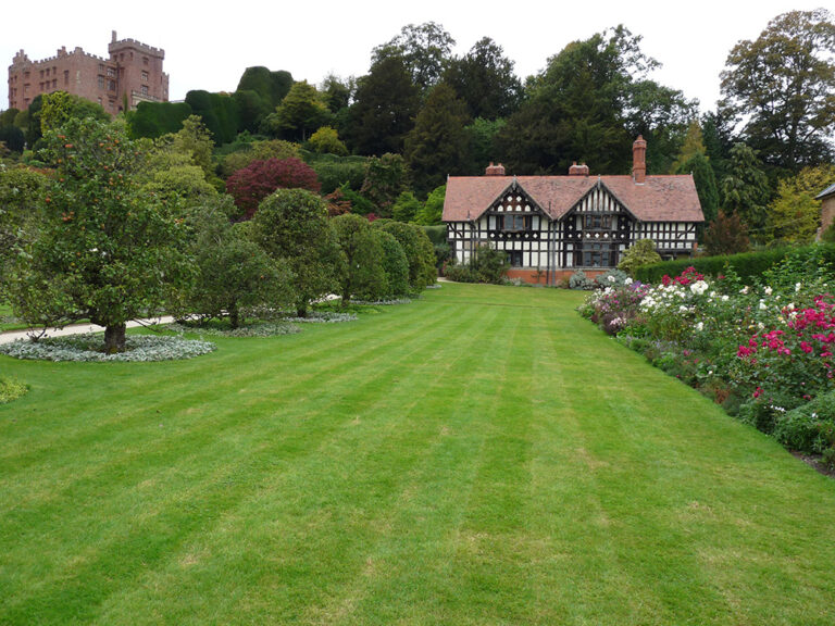 8 Common Lawn Mowing Patterns (With Pictures) | Home Grail