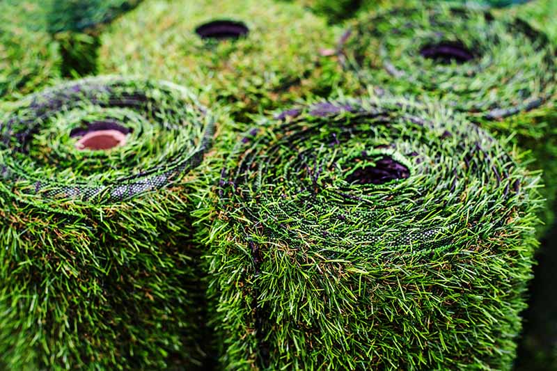 Polyethylene grass