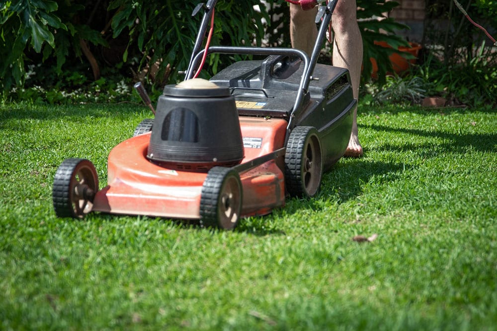 Red Lawn Mower on Grass