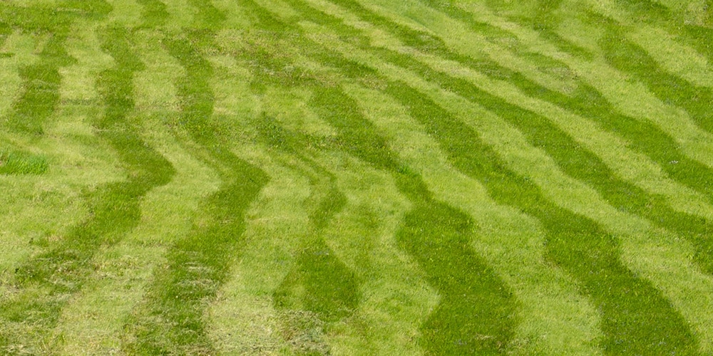 Ripple Pattern Lawn_Olga Korica_Shutterstock