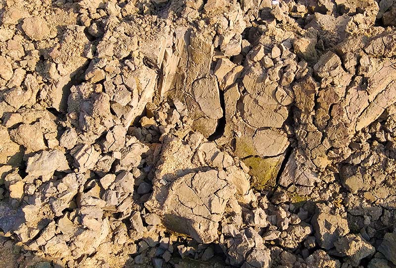 Silt soil