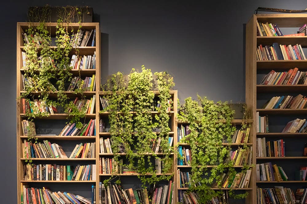 Tree bookshelf_Pawel Czerwinski_Unsplash