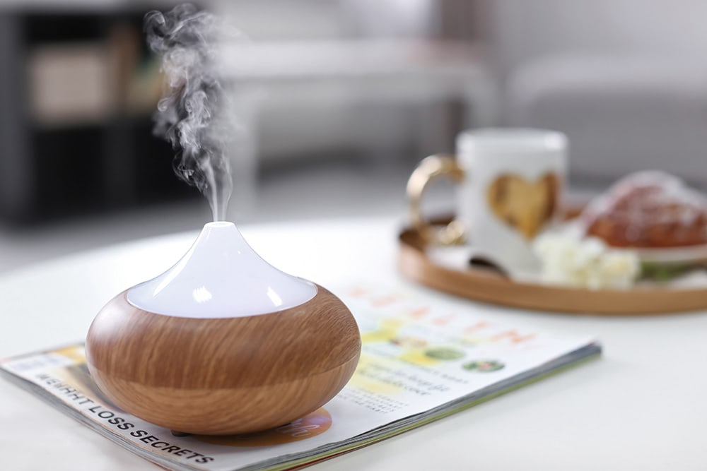 Ultrasonic Humidifier_New Africa_Shutterstock