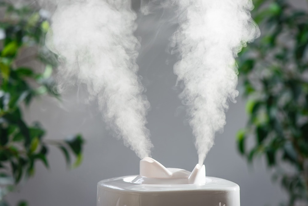 Vaporizer and Humidifier