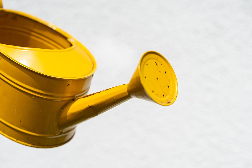 Yellow Watering Can_Markus Winkler_Unsplash