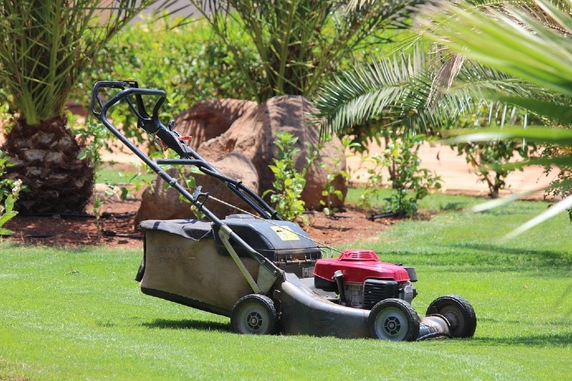 a lawn mower