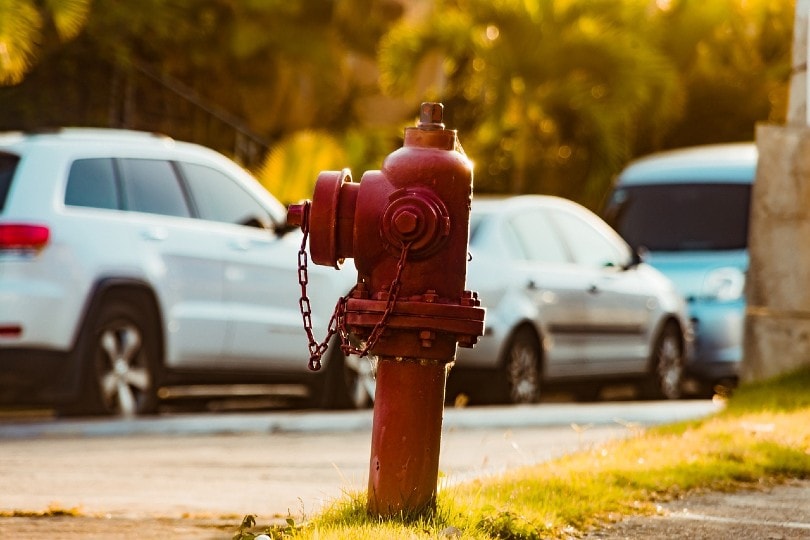 a red fire hydrant by the street