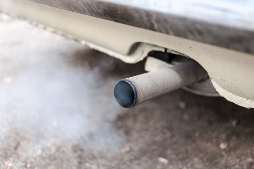 car exhaust